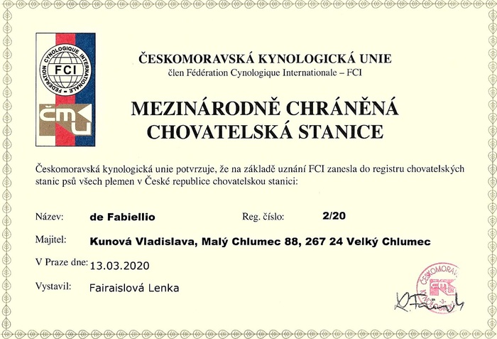 Scan CHS