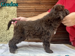 Gredos