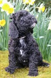 Unike 7 weeks