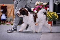IMG 2149