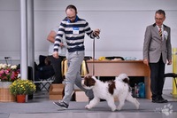 IMG 2150
